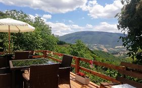 Le Ginestre Apartments Assisi