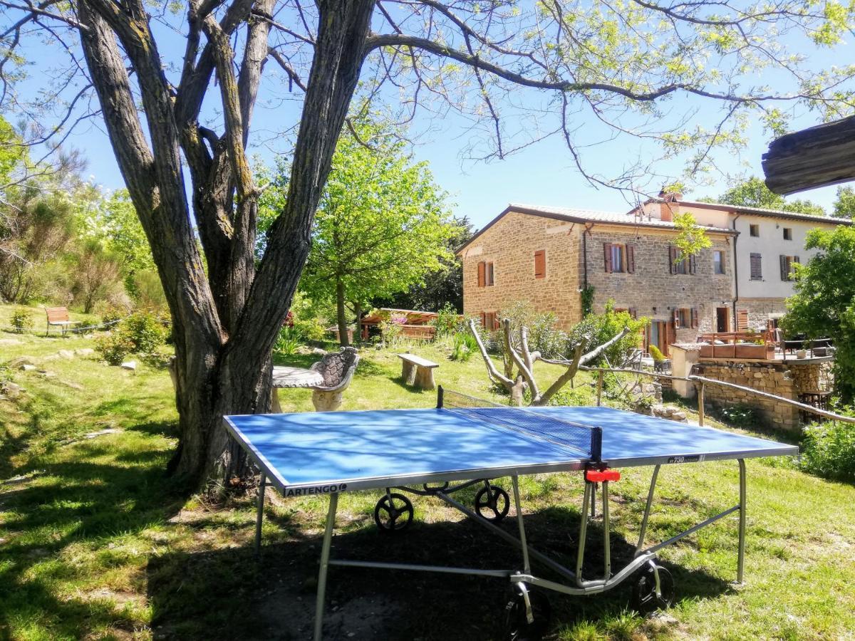 Le Ginestre Apartments Assisi Exterior photo
