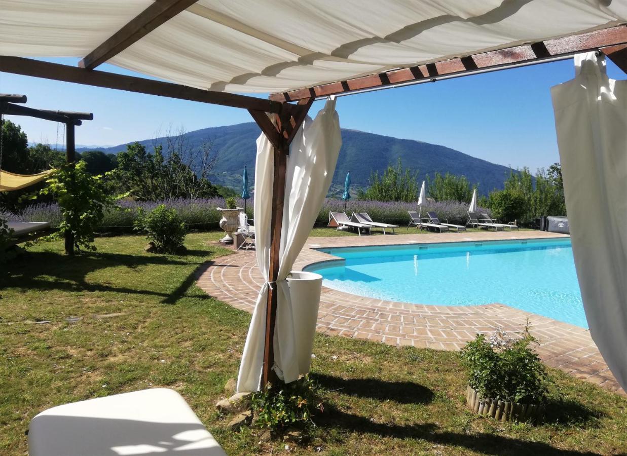 Le Ginestre Apartments Assisi Exterior photo