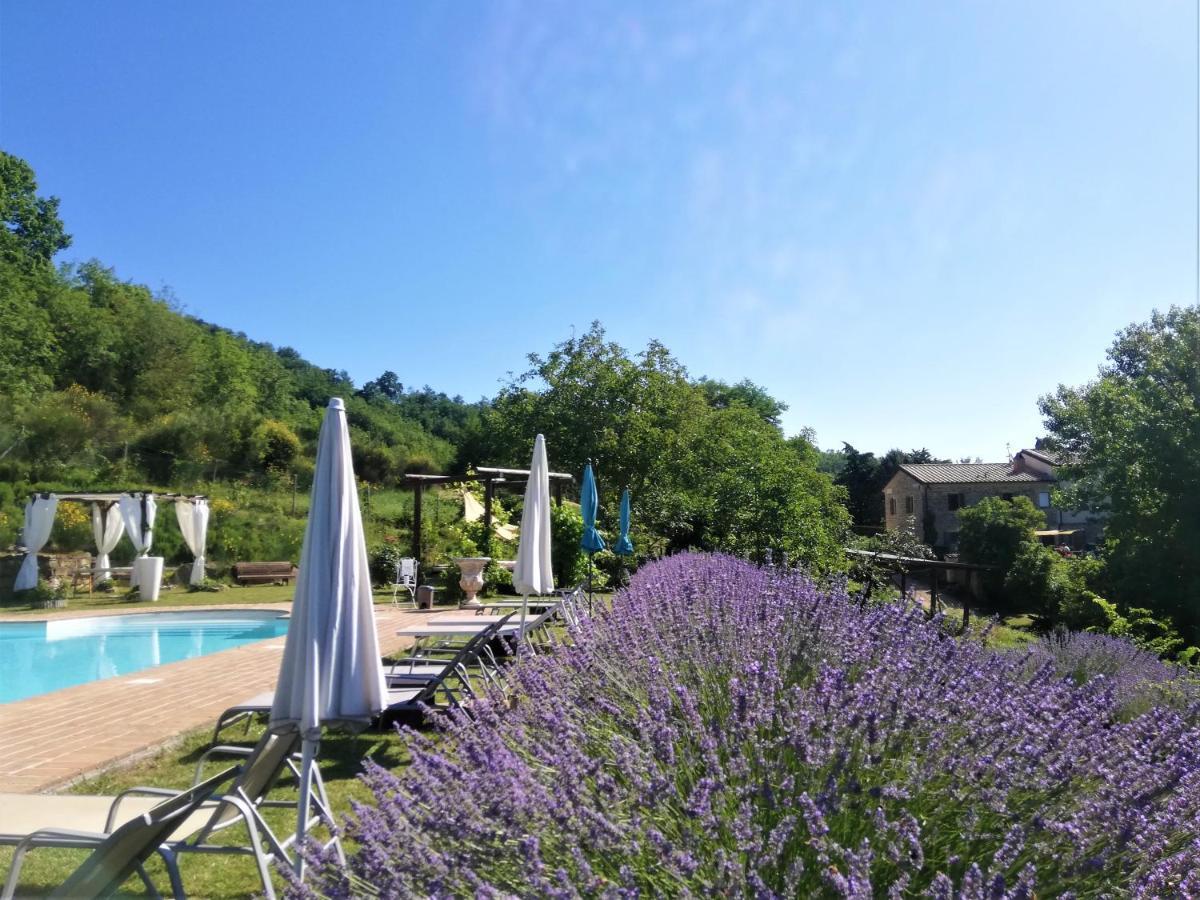 Le Ginestre Apartments Assisi Exterior photo