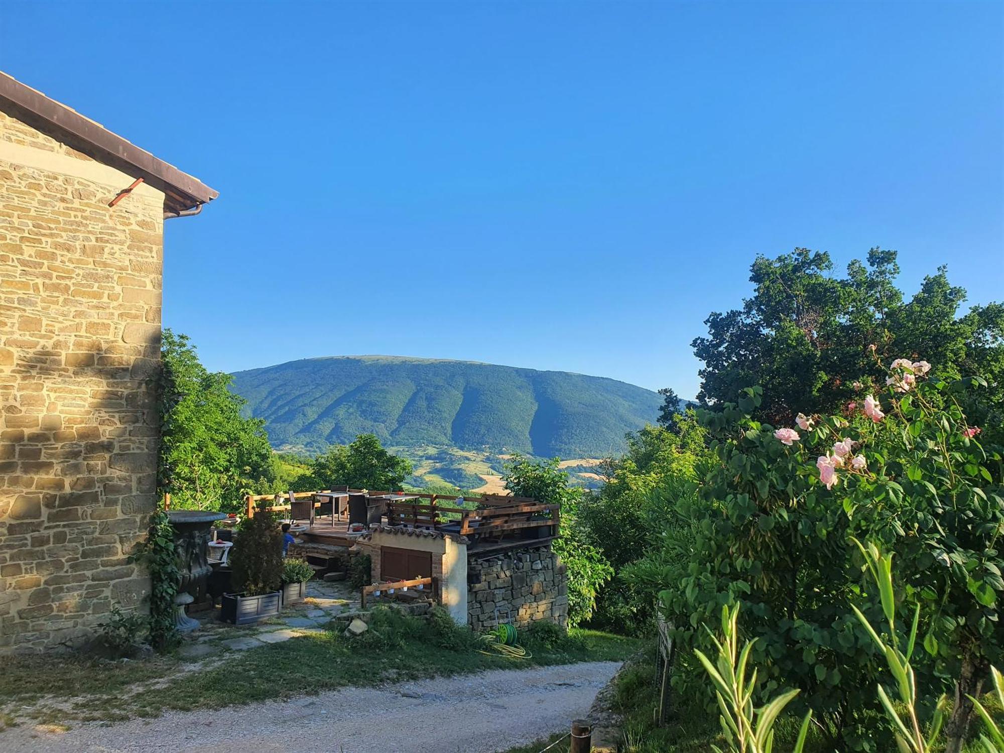 Le Ginestre Apartments Assisi Exterior photo